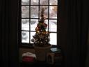 economical-christmas-tree.jpg