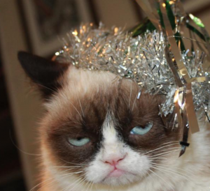 Grumpy cat new year